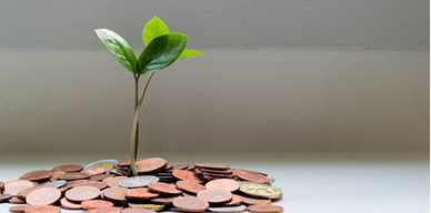 Understanding Self Managed Super Funds